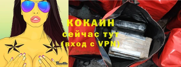 соль ск Алзамай