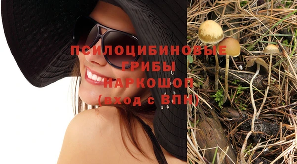 гашик Абинск