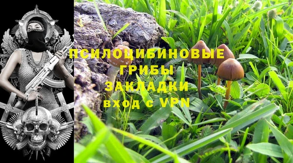 прущие крисы Абдулино