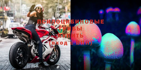 трава Абаза