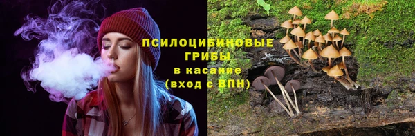 прущие крисы Абдулино